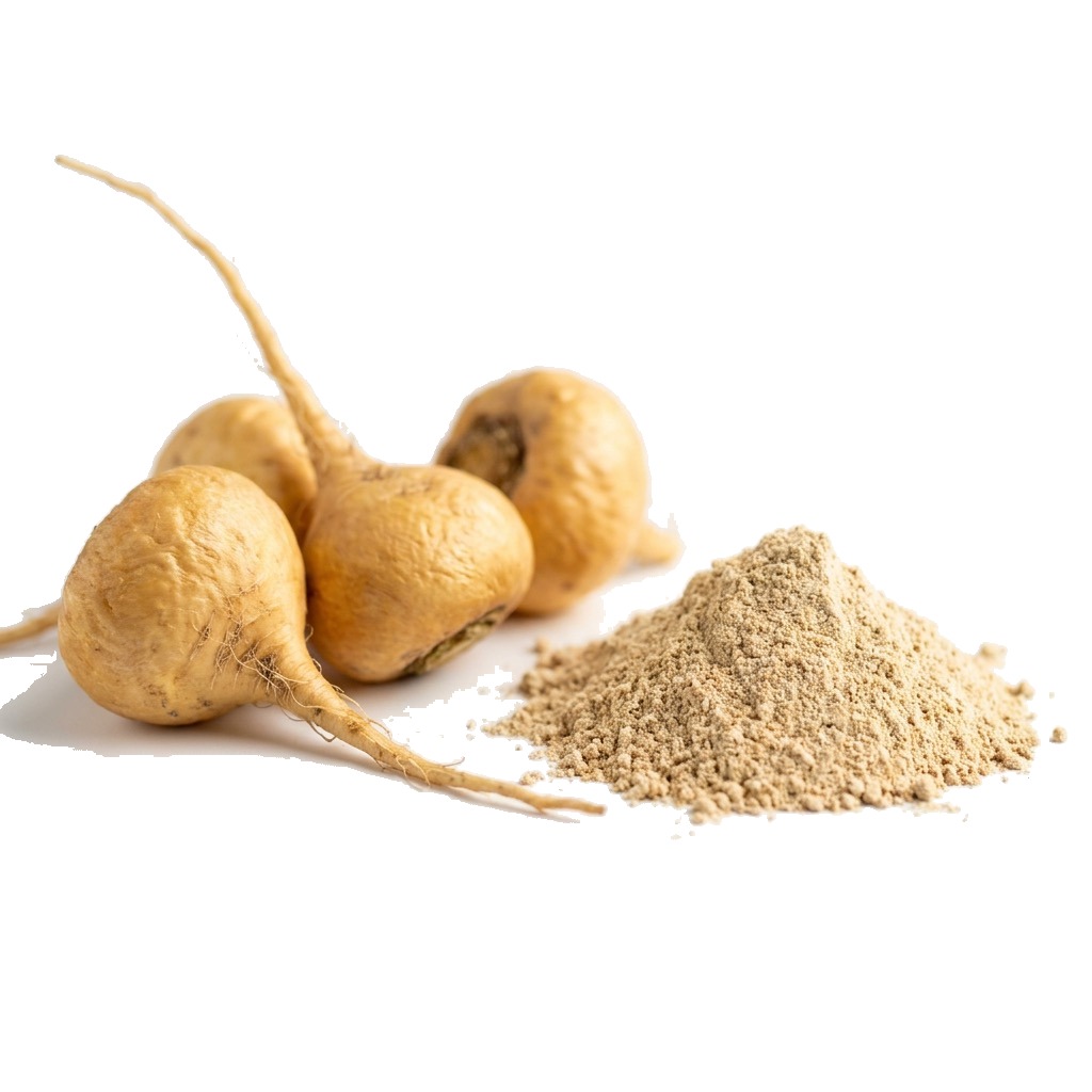 Maca Root