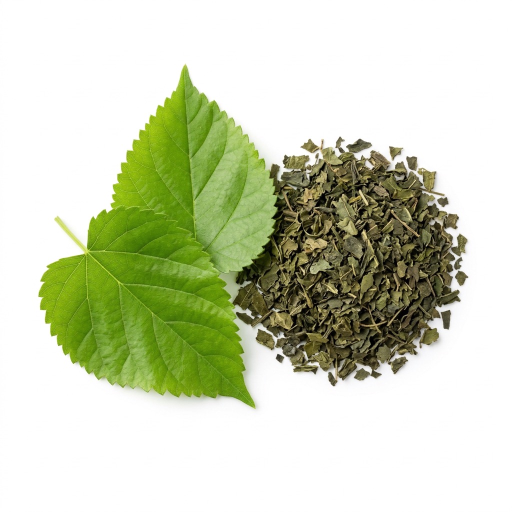 Mulberry Leaf